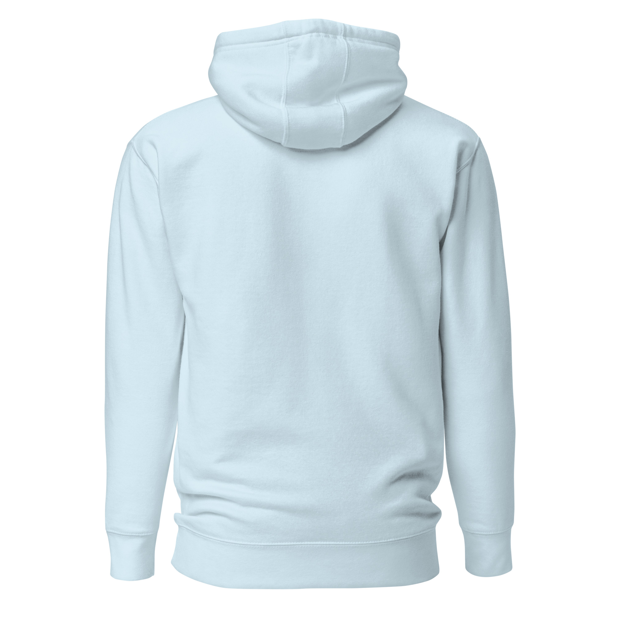 unisex-premium-hoodie-sky-blue-back-6634e684c062f.jpg